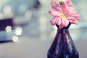 Modest Bouquet